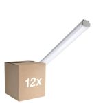 Opakowanie 12x Philips Oprawy Hermetyczne LED WT060C 30W 3600lm - 865 Światło Dzienne | 120cm