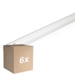 Opakowanie 6x Philips T8 UV - C 36W - Ultrafioletowy | 120cm