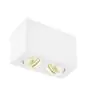 SLV Triledo Dwojako Lampa sufitowa Aluminium Valkoinen 14W 1300lm 38D - 830 Ciepła Biel