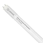Ledvance Rura LED T8 Value (UN) High Output 18W 2000lm - 840 Zimna Biel | 120cm - Zamienne 36W