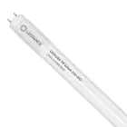 Ledvance Rura LED T8 Value (UN) High Output 24W 2800lm - 865 Światło Dzienne | 150cm - Zamienne 58W