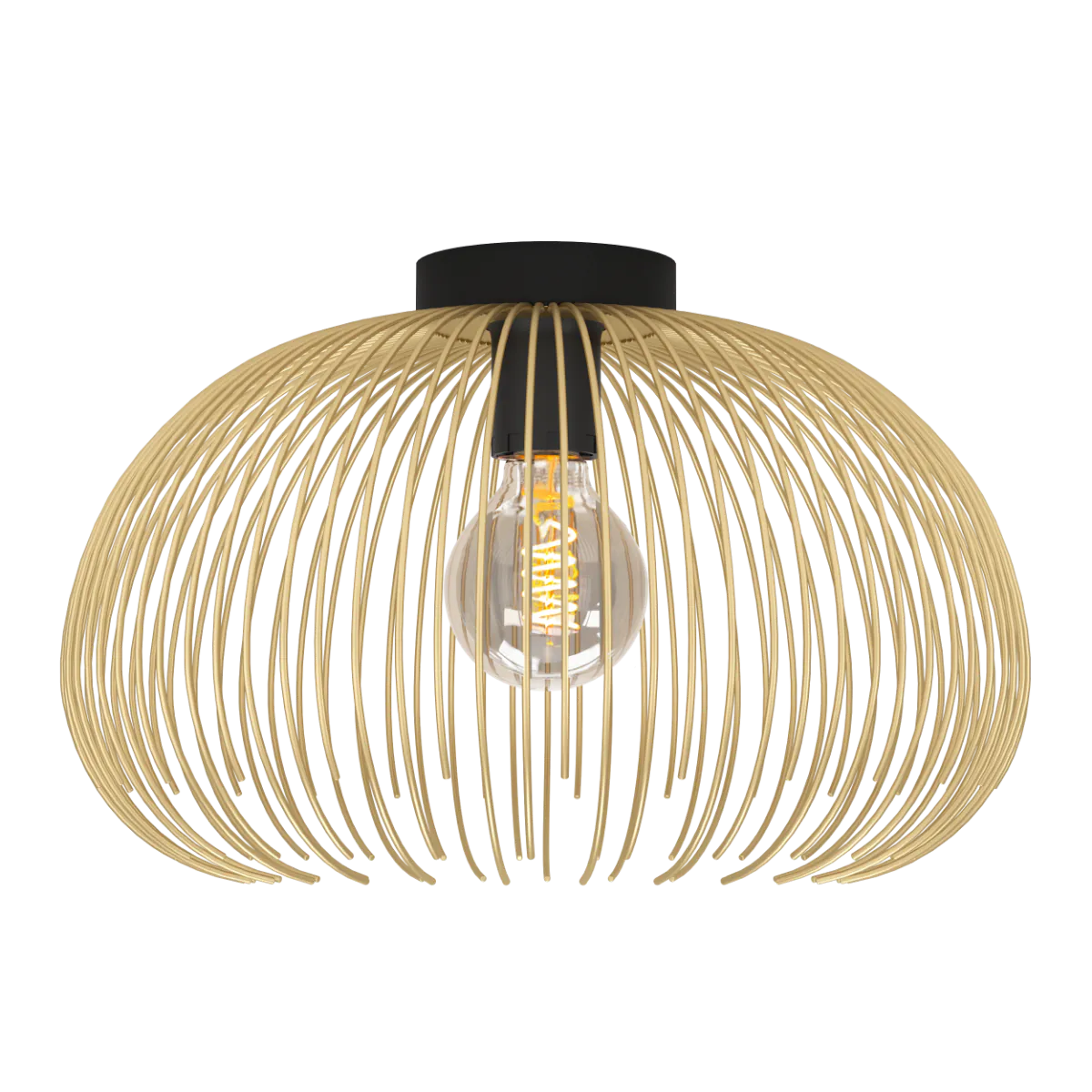 Eglo Lampy sufitowe